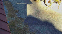 Nástup na běžecké tratě