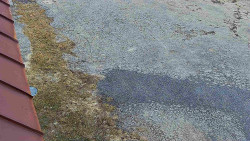 Nástup na běžecké tratě