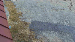 Nástup na běžecké tratě