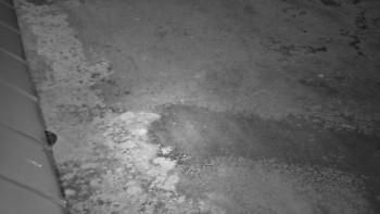 SkiAreál - Horský hotel...