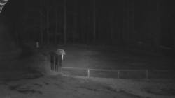 Nástup na běžecké tratě