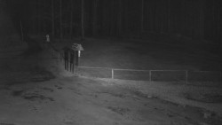 Nástup na běžecké tratě