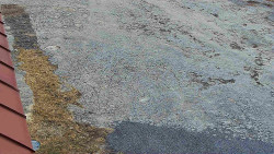 Nástup na běžecké tratě