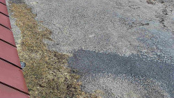 Nástup na běžecké tratě