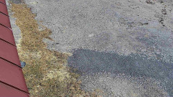 Nástup na běžecké tratě