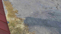 Nástup na běžecké tratě