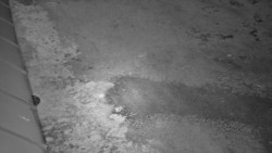 Nástup na běžecké tratě