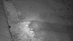 Nástup na běžecké tratě