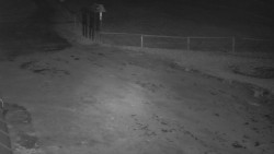 Nástup na běžecké tratě