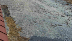 Nástup na běžecké tratě