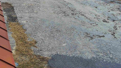 Nástup na běžecké tratě