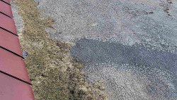 Nástup na běžecké tratě