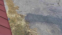 Nástup na běžecké tratě