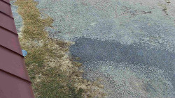 Nástup na běžecké tratě