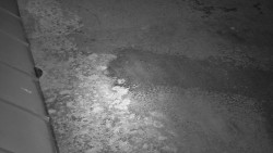 Nástup na běžecké tratě