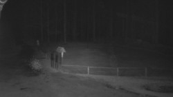 Nástup na běžecké tratě