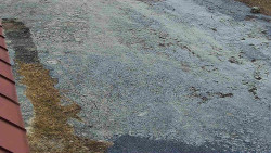 Nástup na běžecké tratě