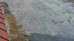 Nástup na běžecké tratě