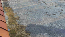 Nástup na běžecké tratě