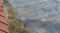 Nástup na běžecké tratě