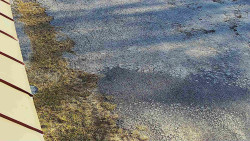 Nástup na běžecké tratě