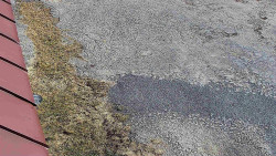 Nástup na běžecké tratě