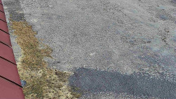 Nástup na běžecké tratě