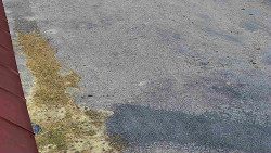 Nástup na běžecké tratě