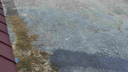 Nástup na běžecké tratě