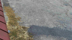 Nástup na běžecké tratě