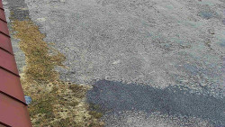 Nástup na běžecké tratě