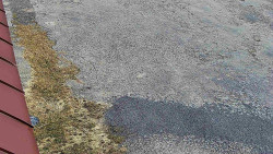 Nástup na běžecké tratě