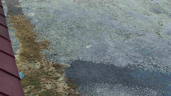 Nástup na běžecké tratě