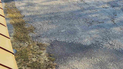 Nástup na běžecké tratě