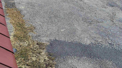 Nástup na běžecké tratě