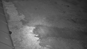 SkiAreál - Horský hotel Vsacký Cáb - Nástup na běžecké tratě - 12.3.2026 v 00:45