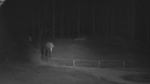 SkiAreál - Horský hotel Vsacký Cáb - Nástup na běžecké tratě - 12.3.2026 v 02:45