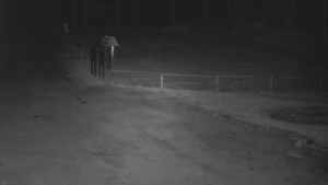 SkiAreál - Horský hotel Vsacký Cáb - Nástup na běžecké tratě - 12.3.2026 v 03:45