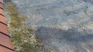 SkiAreál - Horský hotel Vsacký Cáb - Nástup na běžecké tratě - 12.3.2026 v 07:45