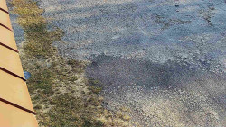 Nástup na běžecké tratě