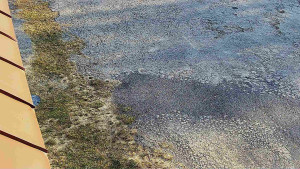 SkiAreál - Horský hotel Vsacký Cáb - Nástup na běžecké tratě - 12.3.2026 v 08:16