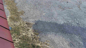 SkiAreál - Horský hotel Vsacký Cáb - Nástup na běžecké tratě - 12.3.2026 v 09:45