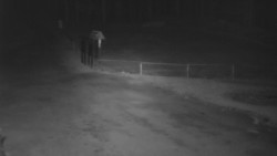 Nástup na běžecké tratě