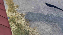 Nástup na běžecké tratě