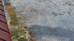 Nástup na běžecké tratě