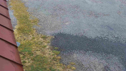 Nástup na běžecké tratě