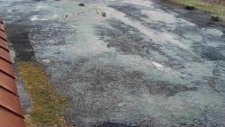 Nástup na běžecké tratě