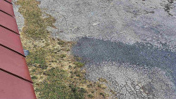 Nástup na běžecké tratě