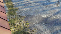 Nástup na běžecké tratě