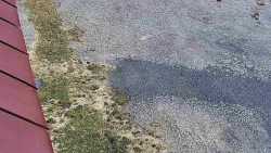 Nástup na běžecké tratě